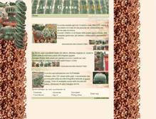 Tablet Screenshot of piantegrassevillani.it